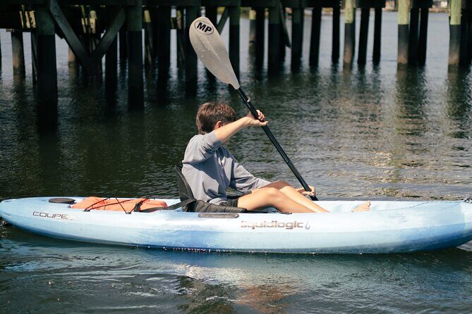 3 Hour Kayak Rental - Introduction: An Easy, Affordable Way to Explore Crystal River