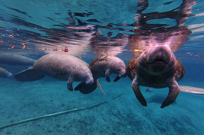 3 Hour Kayak Rental - The Sum Up: An Authentic, Affordable Water Adventure