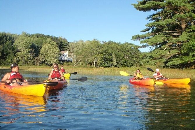 3 Hour Kayak/SUP Rental in Cape Porpoise Harbor - Included Rental Equipment and Accessories
