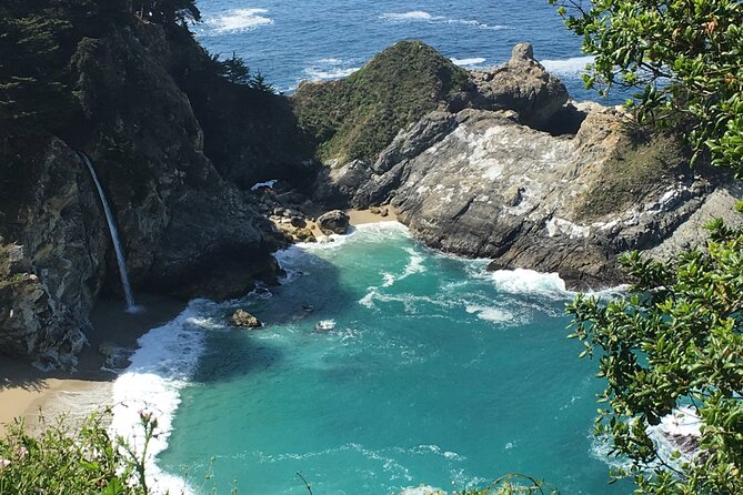 3-Hour Kayaking and Hiking in California's Central Coast - Wildlife You Might Encounter