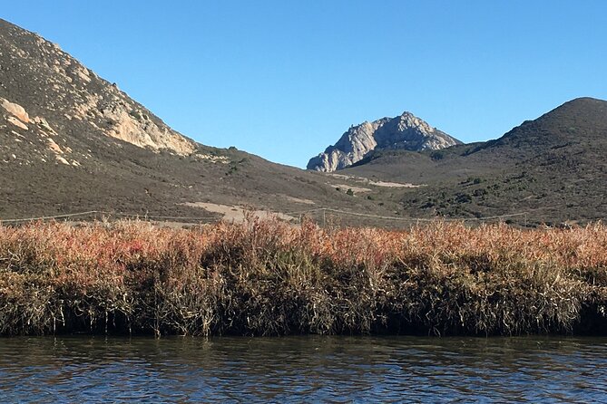3-Hour Kayaking and Hiking in California's Central Coast - Traveler Reviews and Feedback