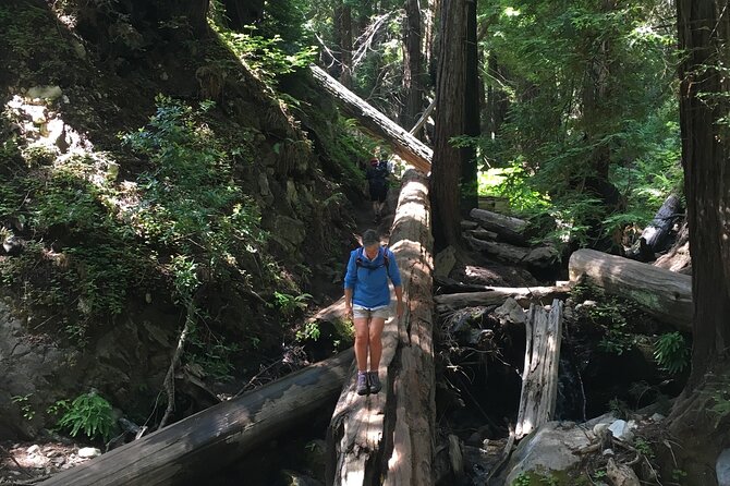 3-Hour Kayaking and Hiking in California's Central Coast - Booking Information and Tips