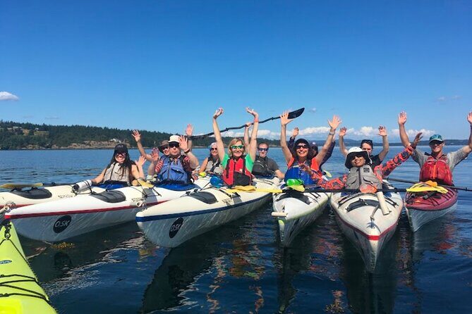 3 Hour Kayaking Tours from Friday Harbor - Exploring the San Juan Islands by Kayak: What You Can Expect
