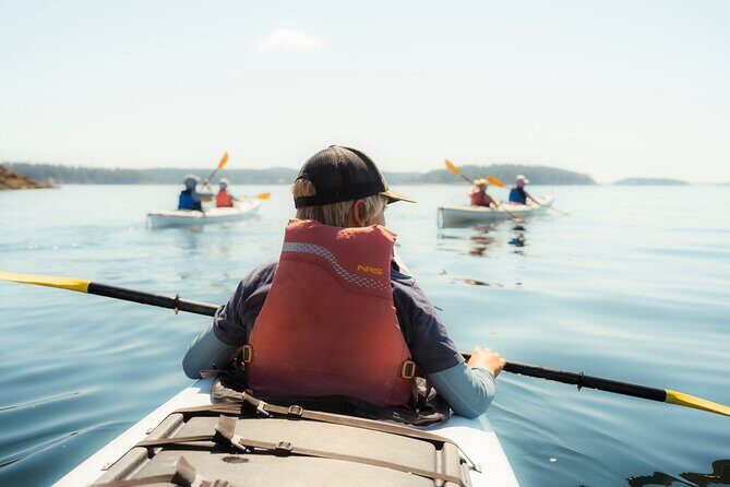 3 Hour Kayaking Tours from Friday Harbor - Why This Tour Offers Good Value