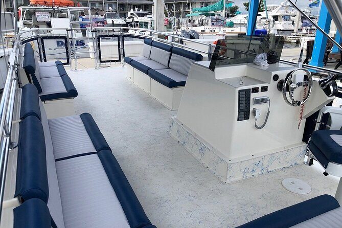 3 Hour Keewaydin Island Shelling Adventure - An In-Depth Look at the Keewaydin Island Shelling Tour