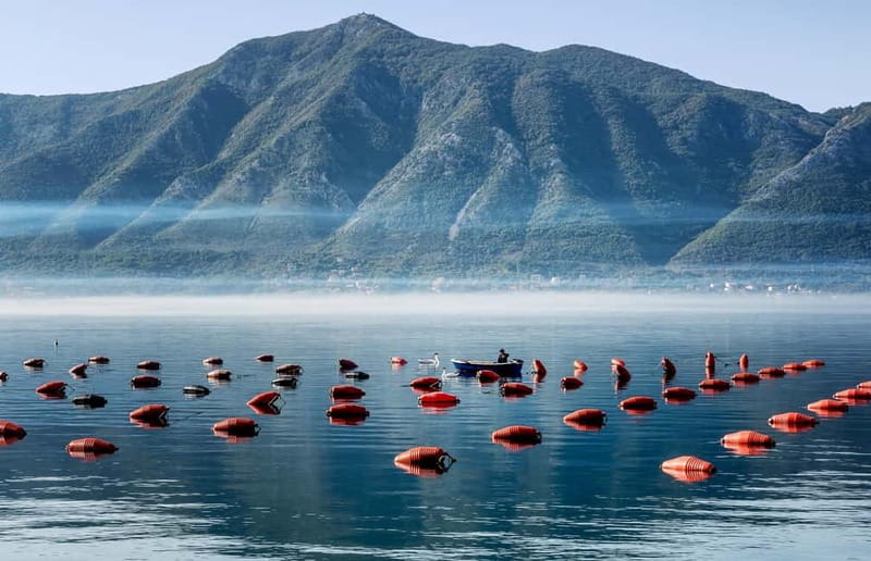 3-Hour Kotor Bay Cruise: Perast, Rocks & Mussel Farm Visit - Exploring the 3-Hour Kotor Bay Cruise: Perast, Rocks & Mussel Farm Visit