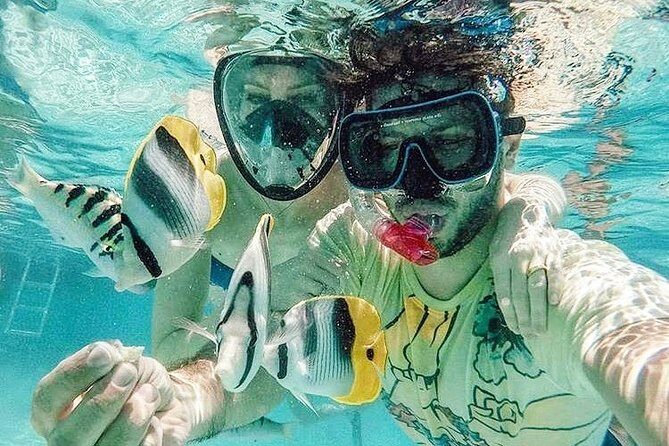 3-hour Lagoon Snorkeling Tour - Private Tour - Discover Moorea’s Lagoon: An Intimate Marine Adventure