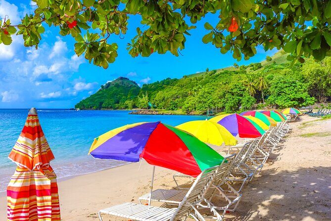 3 hour Land & Sea Tour Castries cruise terminal to Pigeon Island - Who Should Consider This Tour?