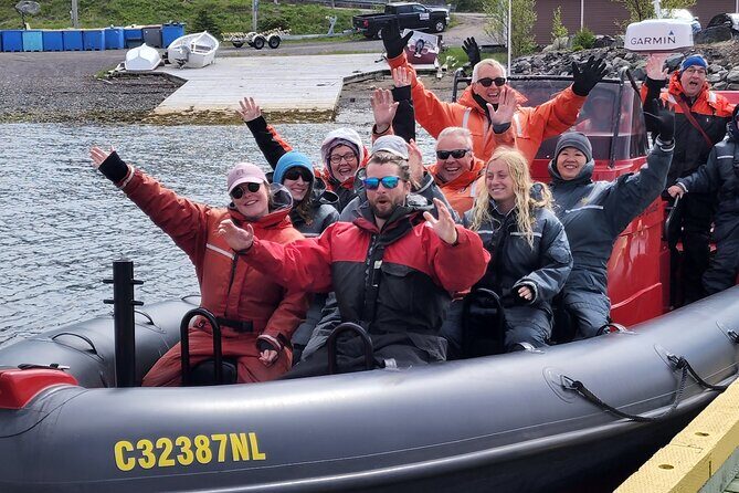 3 Hour Ocean Safari by Zodiac Boat -Whales & Icebergs seasonally - Authentic Perspectives from Past Travelers