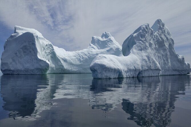 3 Hour Ocean Safari by Zodiac Boat -Whales & Icebergs seasonally - Who is This Tour Best For?