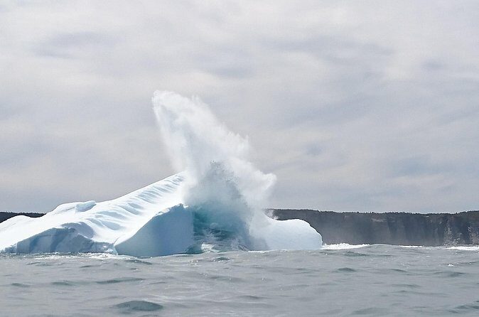 3 Hour Ocean Safari by Zodiac Boat -Whales & Icebergs seasonally - FAQ