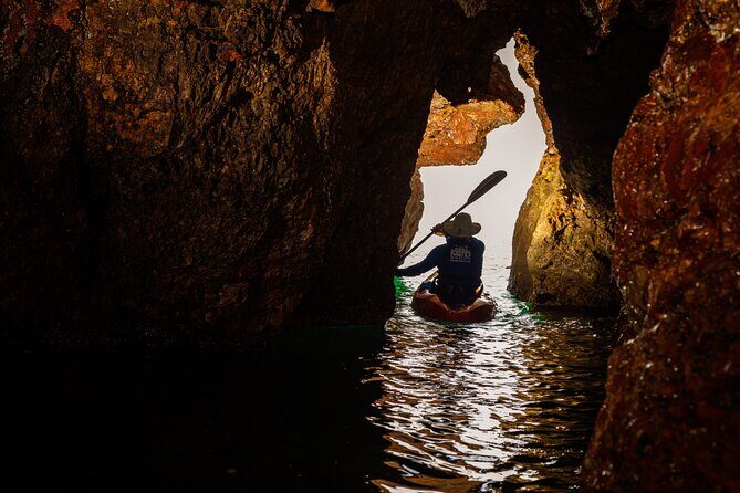 3 Hour of Sea Kayak Trip in the Creeks of Sete - The Sum Up: Who Will Love This Tour?