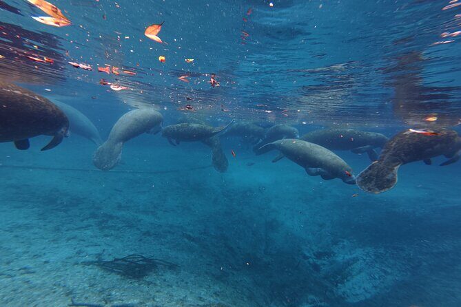 3 Hour Paddle Board Rental - Who This Tour Is Perfect For