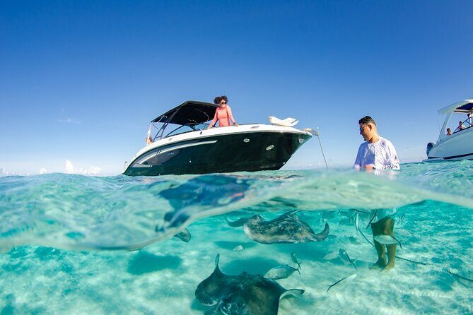 3 Hour Private Charter on Stingray City with Snorkeling - Key Points