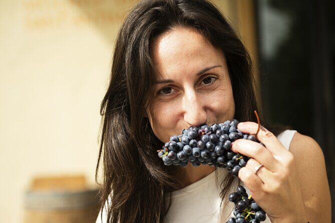 3-Hour Private Food and Wine Experience in Montalcino - Key Points