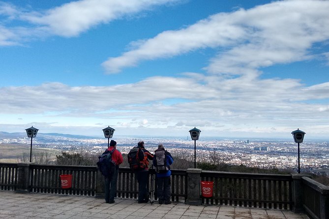 3-Hour Private Hiking Tour Over Parapluie Mountain With a View of Vienna - The 3-Hour Guided Hike