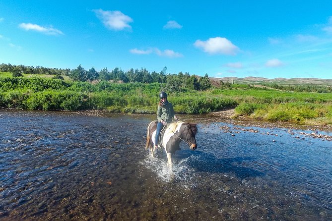 3 Hour Private Horse Riding Tour in Mosfellsdalur - Good To Know
