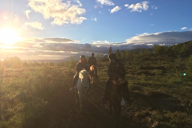 3 Hour Private Horse Riding Tour in Mosfellsdalur - Preparing for the Tour