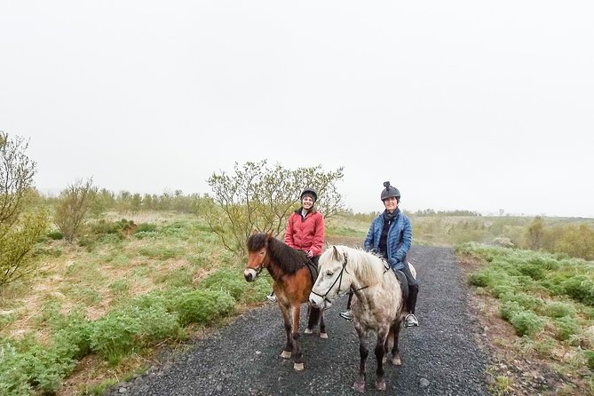 3 Hour Private Horse Riding Tour in Mosfellsdalur - Icelandic Horses and Their Gaits