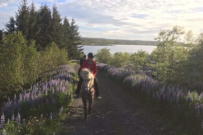 3 Hour Private Horse Riding Tour in Mosfellsdalur - Customer Ratings and Feedback
