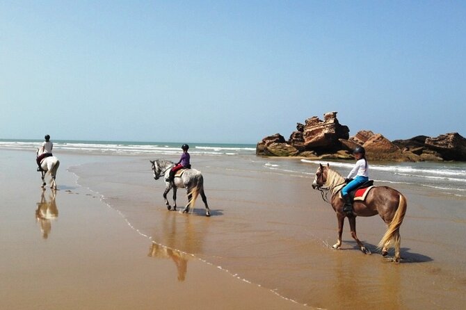 3-Hour Private Ride Between Beach and Dunes - Exploring the Dunes