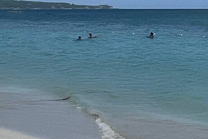 3 Hour Private Tour in Doctor's Cave Beach and Margaritaville - What the Reviews Say (Even Though Limited)