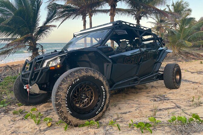 3-Hour Private UTV Tour in San Juan - Key Points