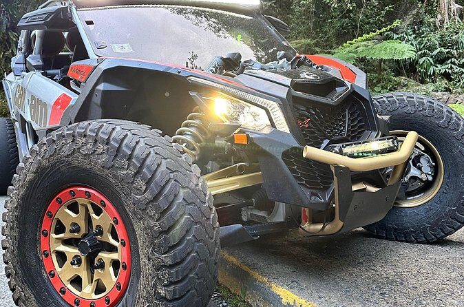 3-Hour Private UTV Tour in San Juan - Conclusions: Who Should Consider This Tour?