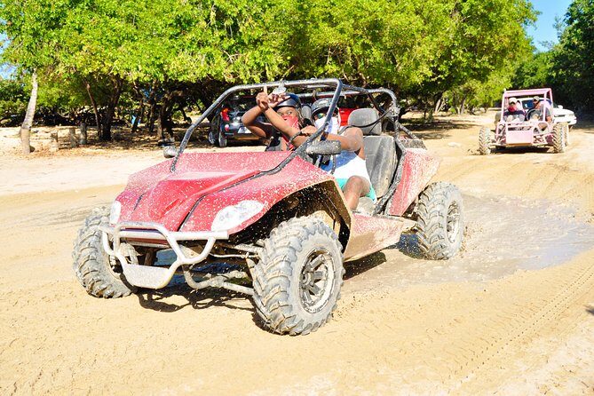 3 Hour Punta Cana Outdoor Adventure - What the Reviews Say