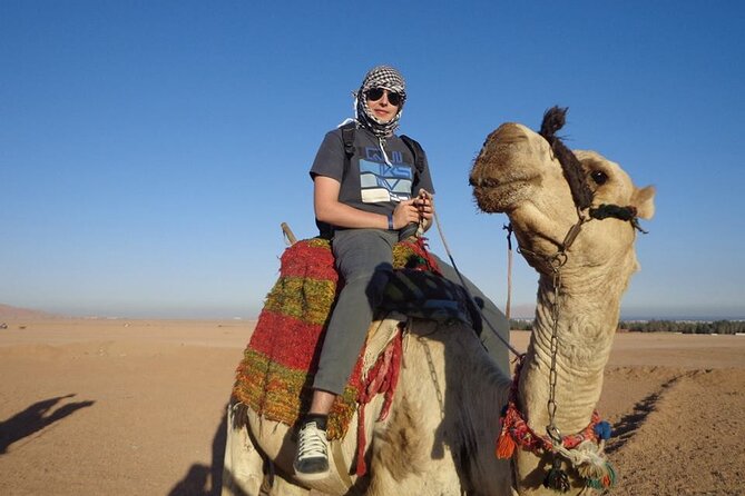 3-Hour Quad Bike Tour in Hurghada Desert - Traveler Reviews