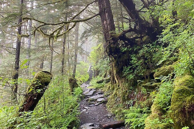 3-Hour Rainforest, Beach & Wildlife Walk - An In-Depth Look at What You Can Expect