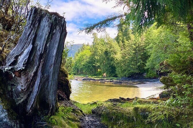 3-Hour Rainforest, Beach & Wildlife Walk - Why This Tour Works Well for You