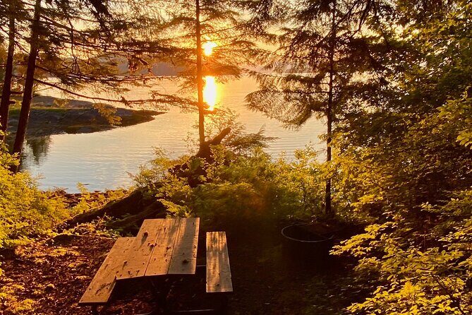 3-Hour Rainforest, Beach & Wildlife Walk - The Sum Up: Who Will Love This Tour?