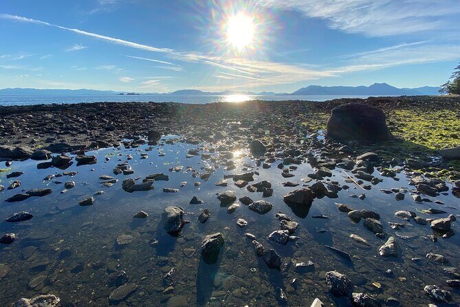 3-Hour Rainforest, Beach & Wildlife Walk - FAQ