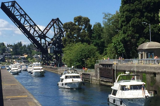 3 Hour Show Me Seattle Best Of The City Tour - Frequently Asked Questions