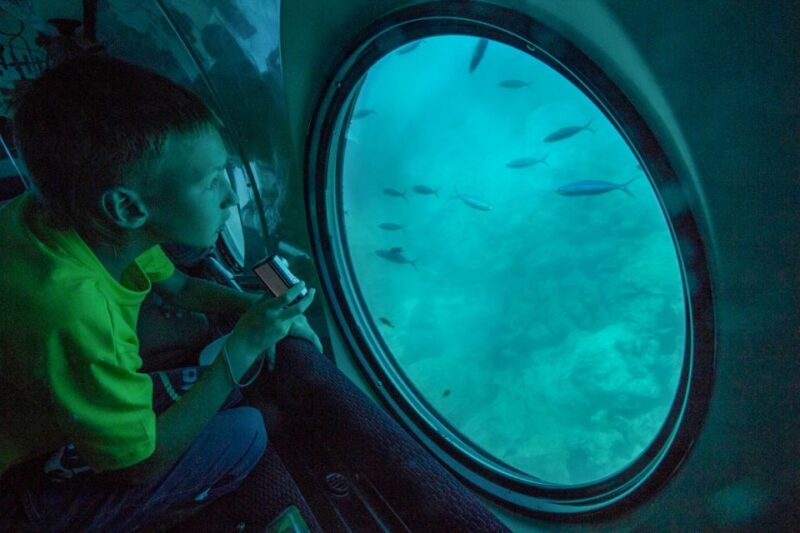 3-Hour Sinbad Submarine Red Sea Tour From Hurghada - Good To Know
