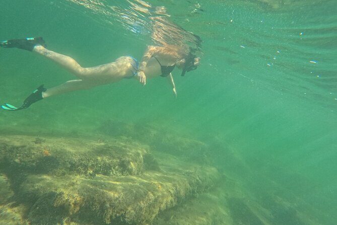 3-Hour Snorkeling Experience on SeaRay Sundeck 26' up to 8 guests - FAQ