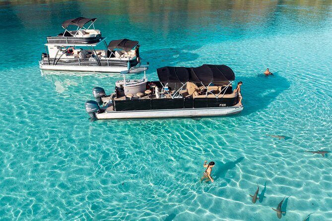 3-Hour Snorkeling Tour - Final Thoughts