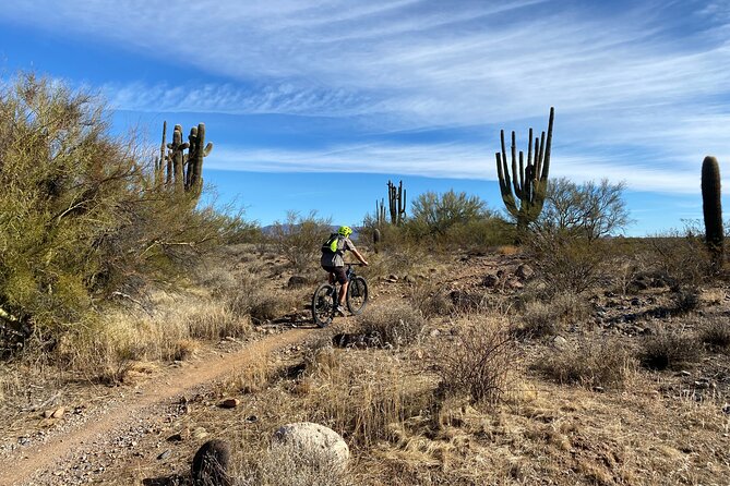 3 Hour Sonoran Desert Private Guided Mountain Bike Tour - Health and Safety Guidelines