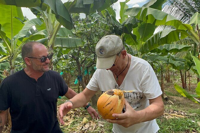 3-Hour St. Lucia Island Tour with Zero Entry Free - FAQ