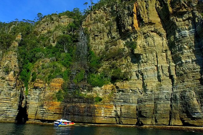 3-Hour Tasman Peninsula Wilderness Cruise From Port Arthur - Stunning Wildlife Encounters