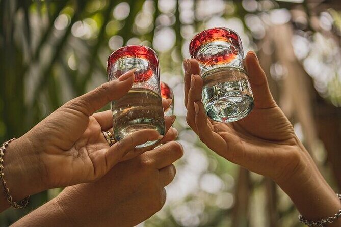 3 Hour Tequila Tasting Frida Kahlo - Who Should Consider This Tour?