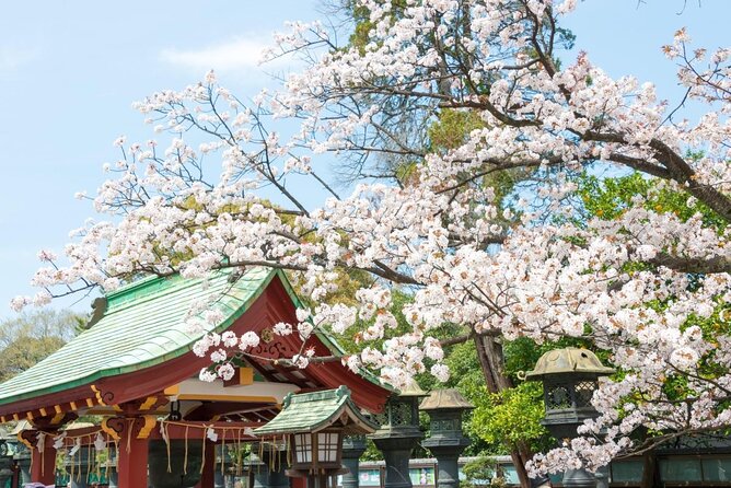 3-Hour Tokyo City Highlights Sunset Bike Tour - Included in the Tour