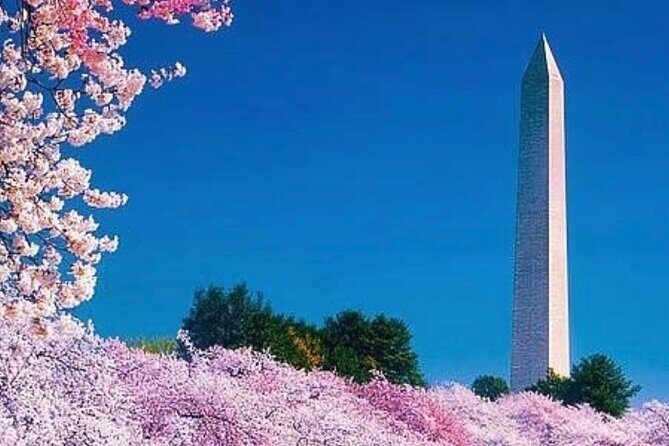 3 Hour Tour Of Washington, D.C. The Nucleus Of Democracy - FAQ