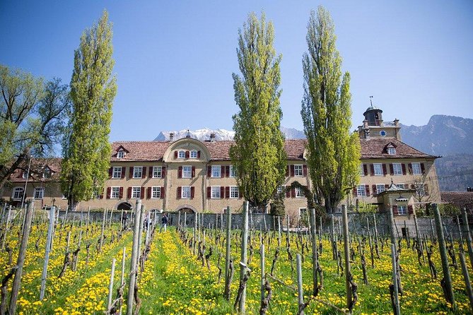 3 Hour Unique Wine Tour - Half Day in Swiss Alps - Travel by Comfortable Vehicle