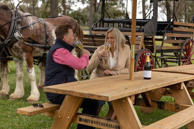 3- Hour Wine and Harvest the Hunter Horse Tour in Pokolbin - Why You Should Consider This Tour