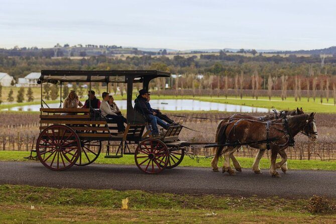 3- Hour Wine and Harvest the Hunter Horse Tour in Pokolbin - FAQ