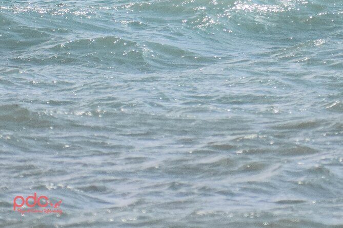 3-Hour Wing Foil Course - What to Expect from the 3-Hour Wing Foil Course