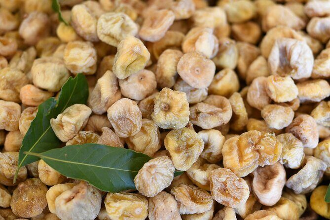 3-Hour Zadar Food Tasting Tour - Final Thoughts