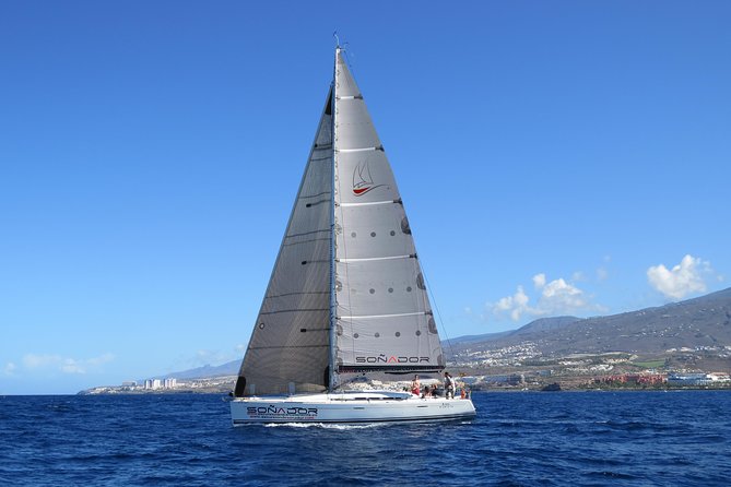 3 Hours All Inclusive Whale and Dolphin Whatching Yacht Trip - Meeting and Pickup